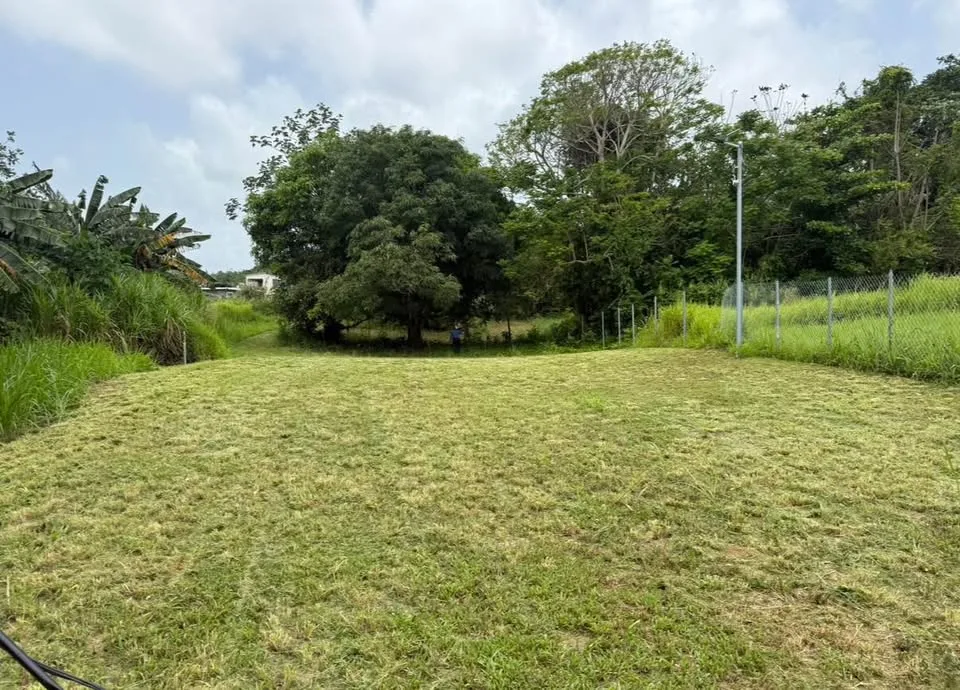 🌿Solar en Isabela · Isabela, Llanadas · $95,000